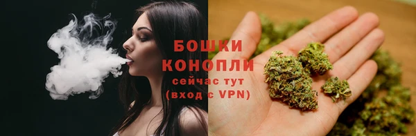 кокс Вяземский